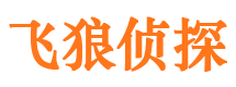 晋安婚外情调查